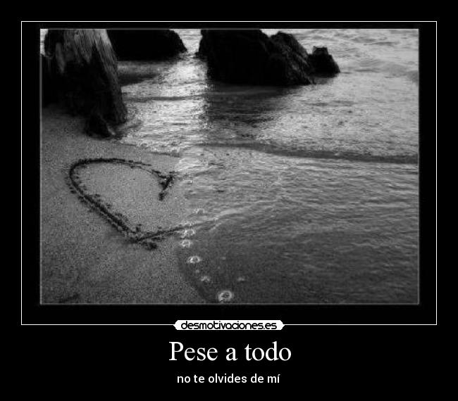 Pese a todo - no te olvides de mí 