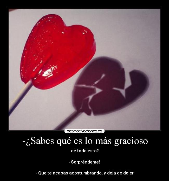 -¿Sabes qué es lo más gracioso -