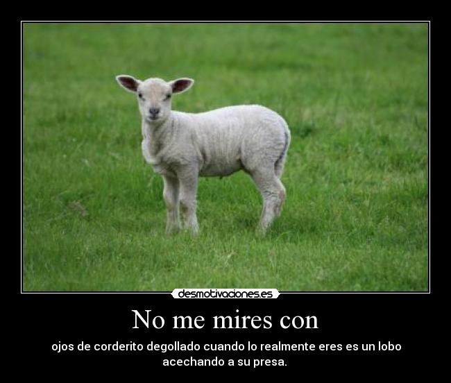 carteles cordero lobo desmotivaciones