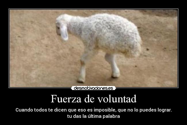 Fuerza de voluntad - 