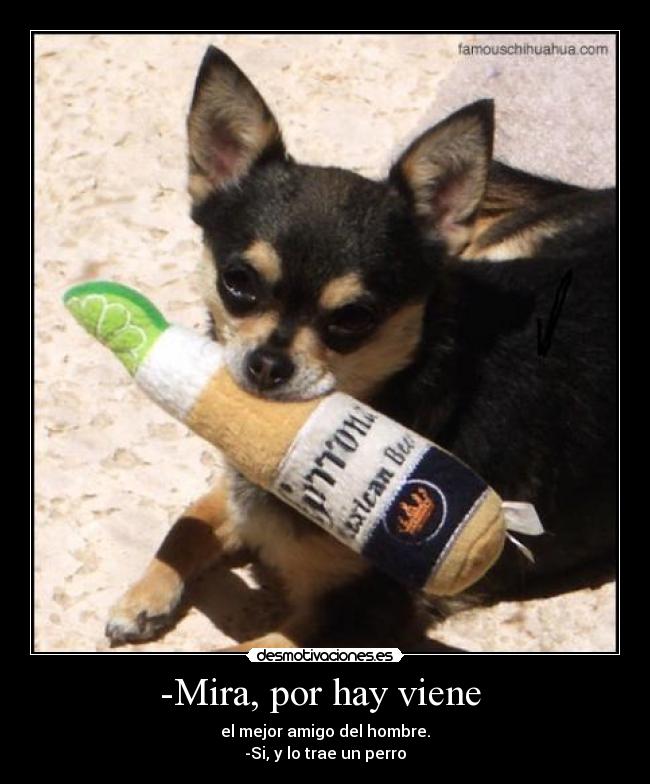 -Mira, por hay viene  - el mejor amigo del hombre.
-Si, y lo trae un perro