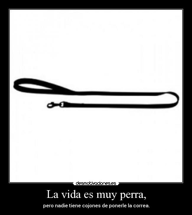 La vida es muy perra, -