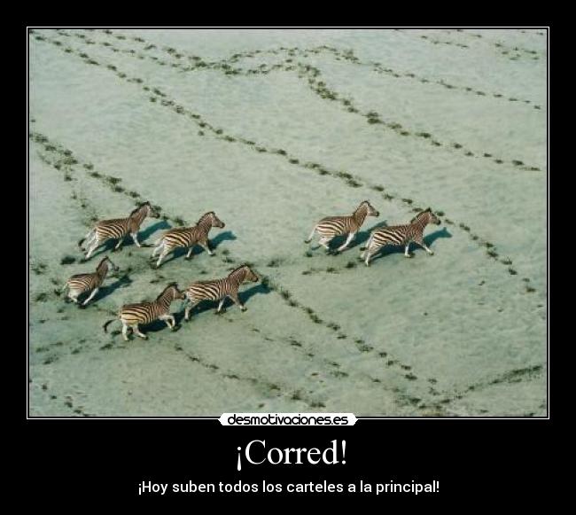 ¡Corred! -