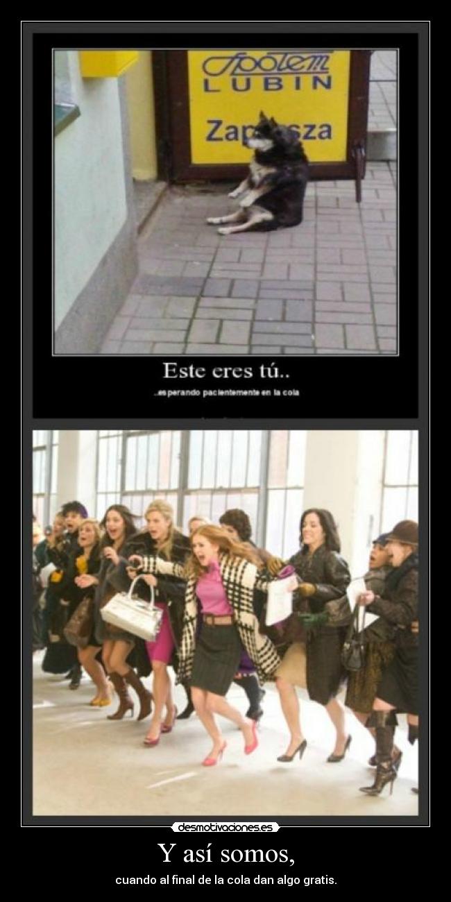 Y así somos, - cuando al final de la cola dan algo gratis.
