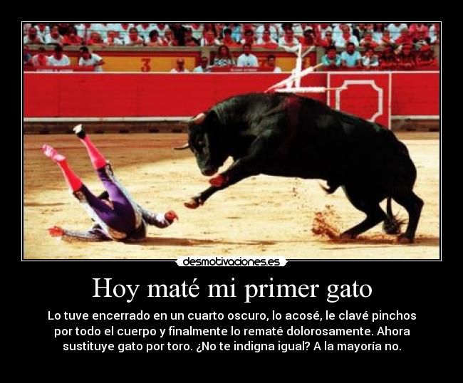 Hoy maté mi primer gato - Lo tuve encerrado en un cuarto oscuro, lo acosé, le clavé pinchos
por todo el cuerpo y finalmente lo rematé dolorosamente. Ahora
sustituye gato por toro. ¿No te indigna igual? A la mayoría no.
