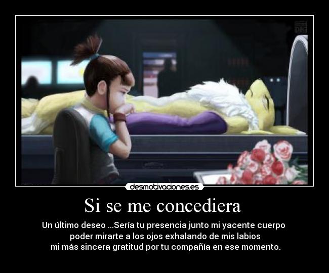 Si se me concediera  - 