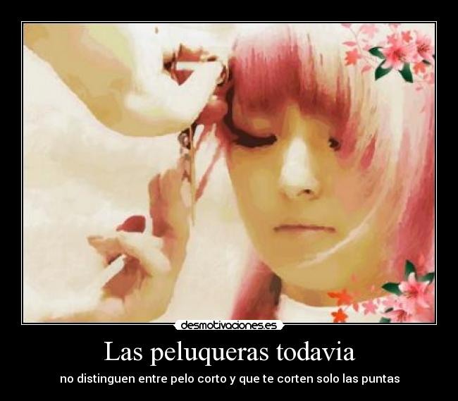 Las peluqueras todavia - 
