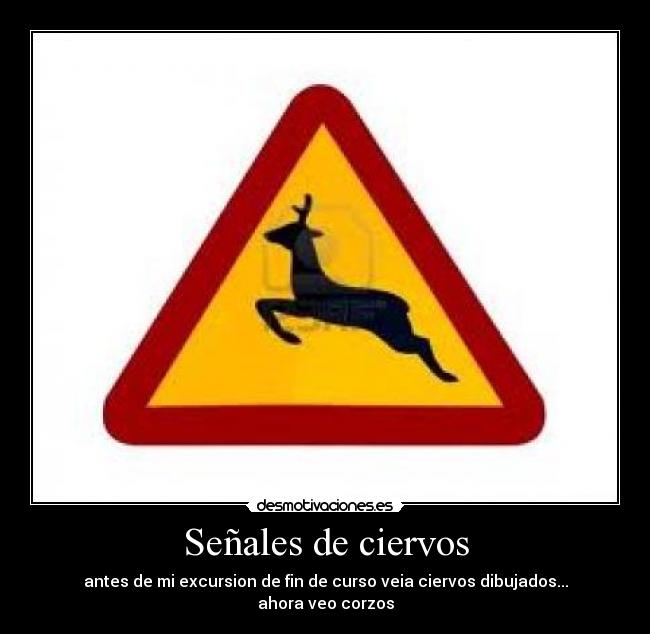 Señales de ciervos - antes de mi excursion de fin de curso veia ciervos dibujados...
ahora veo corzos