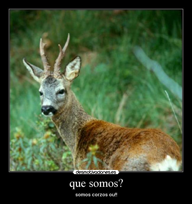 carteles ujgkm desmotivaciones