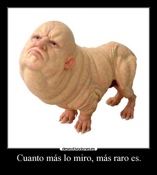Cuanto más lo miro, más raro es. - 