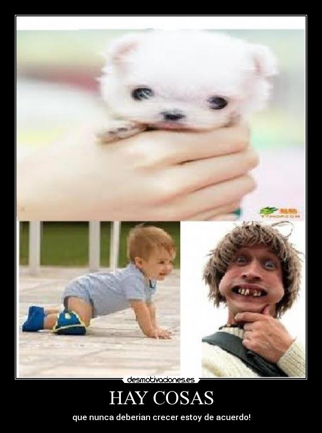 HAY COSAS -