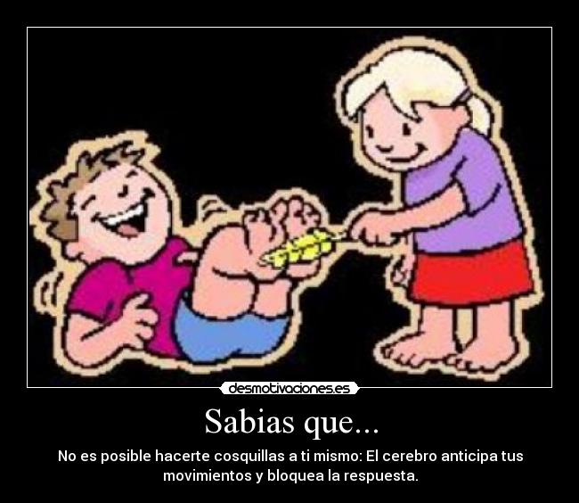Sabias que... - No es posible hacerte cosquillas a ti mismo: El cerebro anticipa tus
movimientos y bloquea la respuesta.