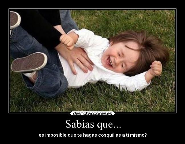 Sabias que... -