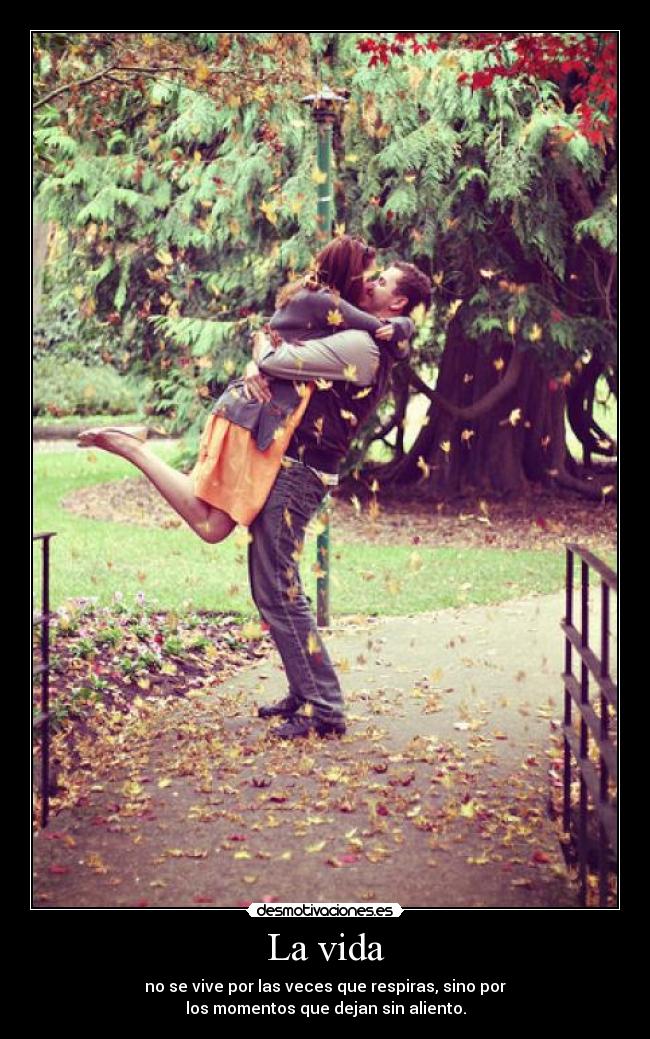 La vida -