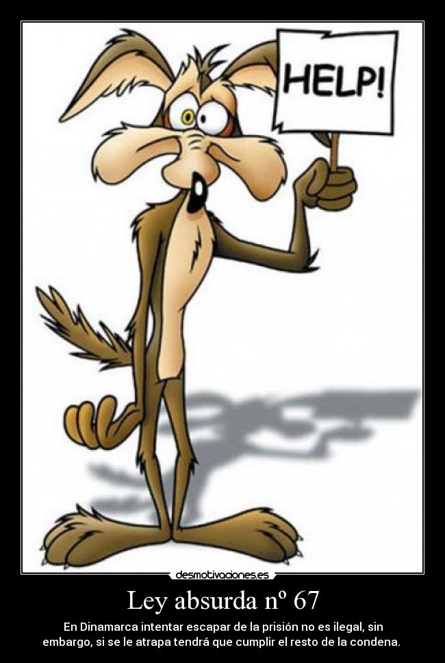 Ley absurda nº 67 -