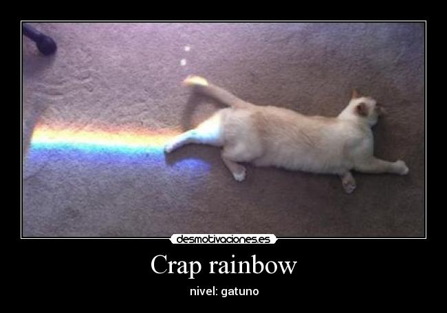 Crap rainbow - nivel: gatuno