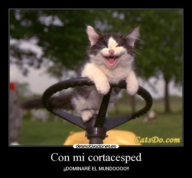 Con mi cortacesped - 