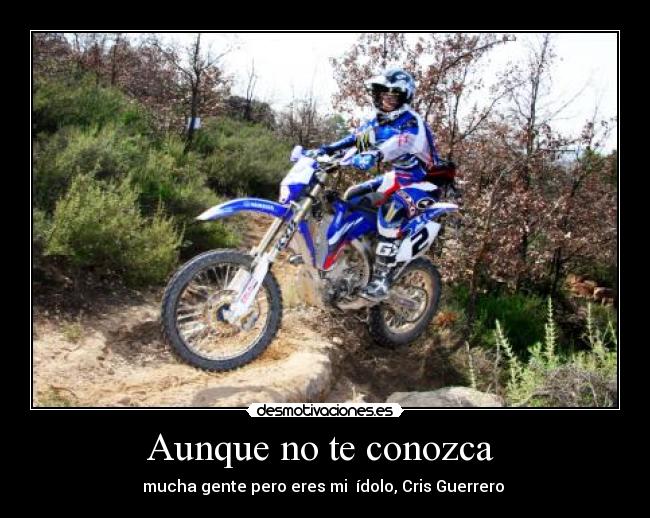 carteles aunque conozca desmotivaciones