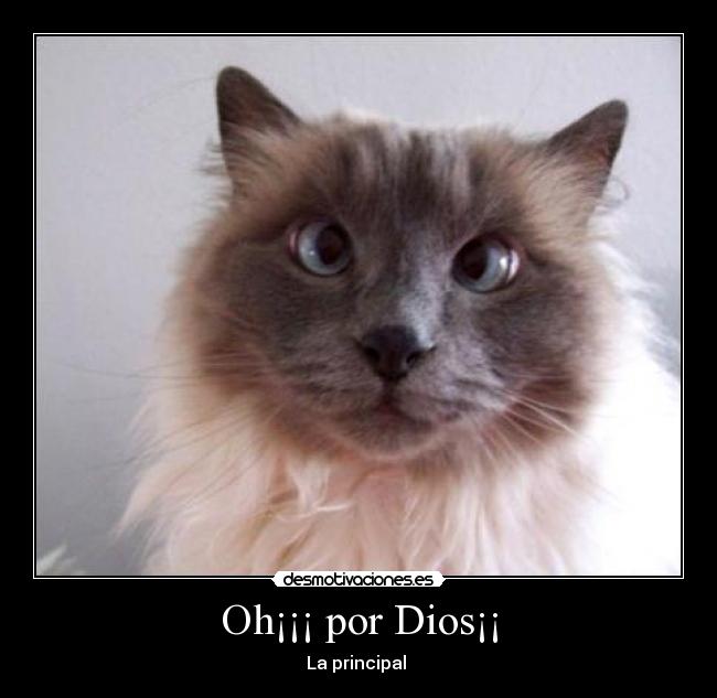 Oh¡¡¡ por Dios¡¡ - La principal