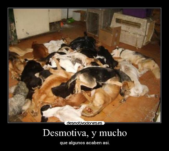Desmotiva, y mucho - que algunos acaben asi.