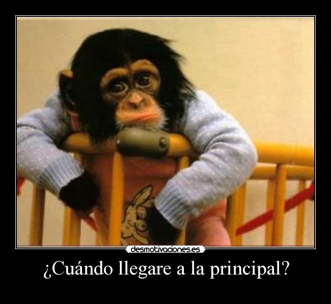 ¿Cuándo llegare a la principal? - 