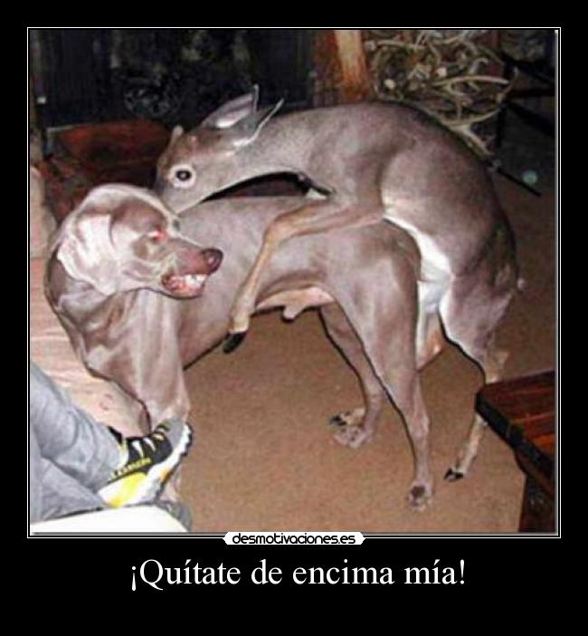 ¡Quítate de encima mía! - 