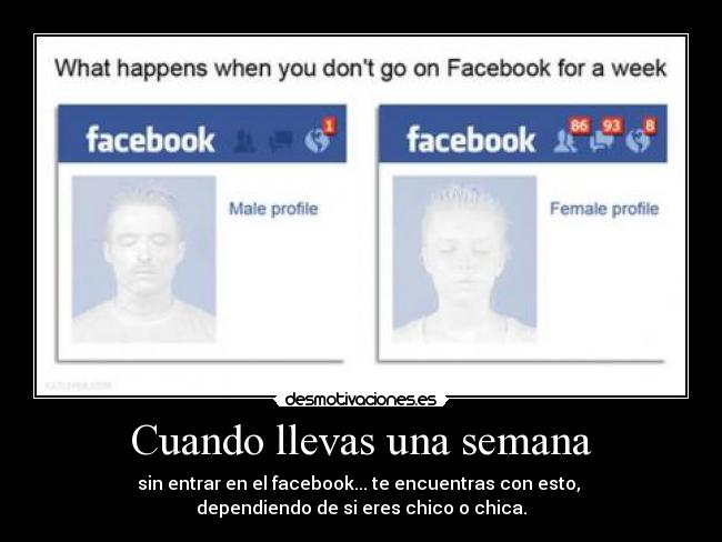 Cuando llevas una semana -