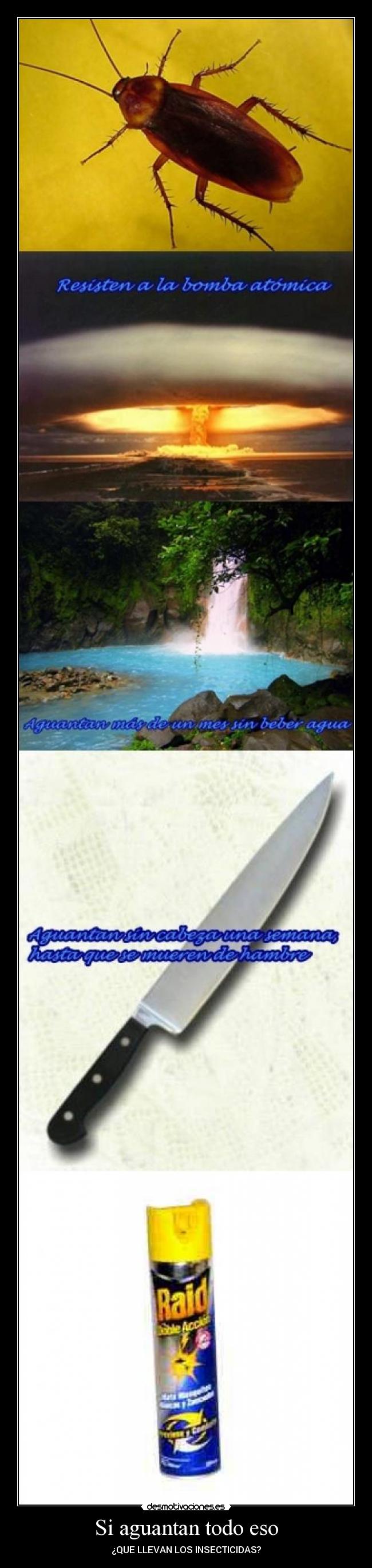 Si aguantan todo eso - ¿QUE LLEVAN LOS INSECTICIDAS?