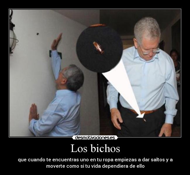 Los bichos - que cuando te encuentras uno en tu ropa empiezas a dar saltos y a
moverte como si tu vida dependiera de ello
