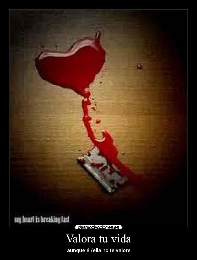 Valora tu vida -