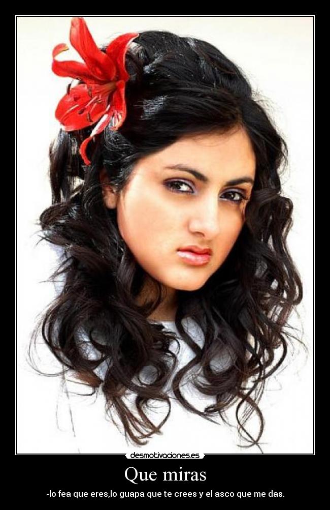 Que miras -