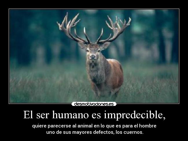 El ser humano es impredecible, - quiere parecerse al animal en lo que es para el hombre
uno de sus mayores defectos, los cuernos.