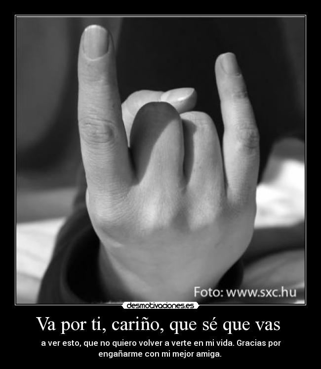 Va por ti, cariño, que sé que vas - a ver esto, que no quiero volver a verte en mi vida. Gracias por
engañarme con mi mejor amiga.