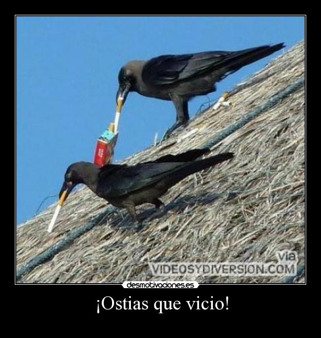 ¡Ostias que vicio! -