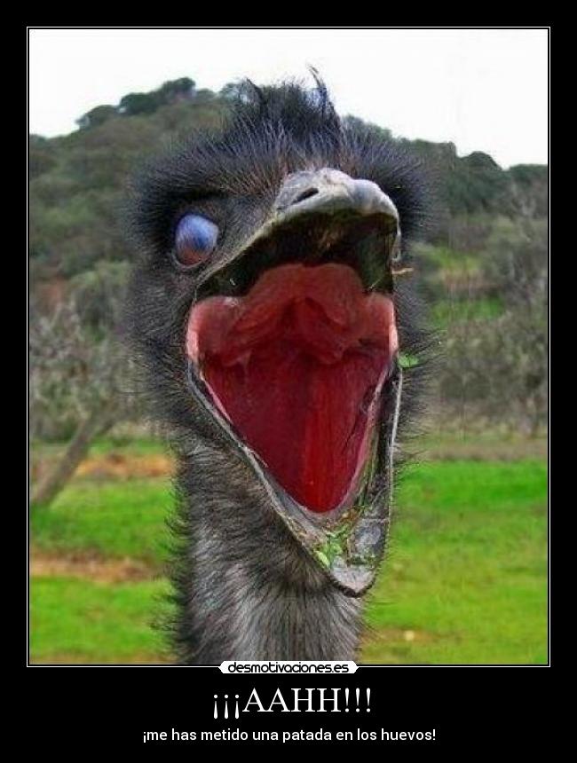 ¡¡¡AAHH!!! - ¡me has metido una patada en los huevos!