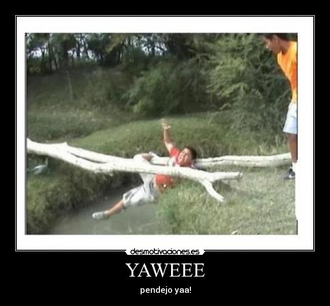 YAWEEE - pendejo yaa!