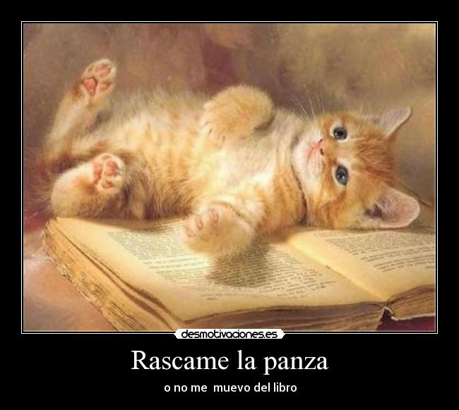 Rascame la panza -