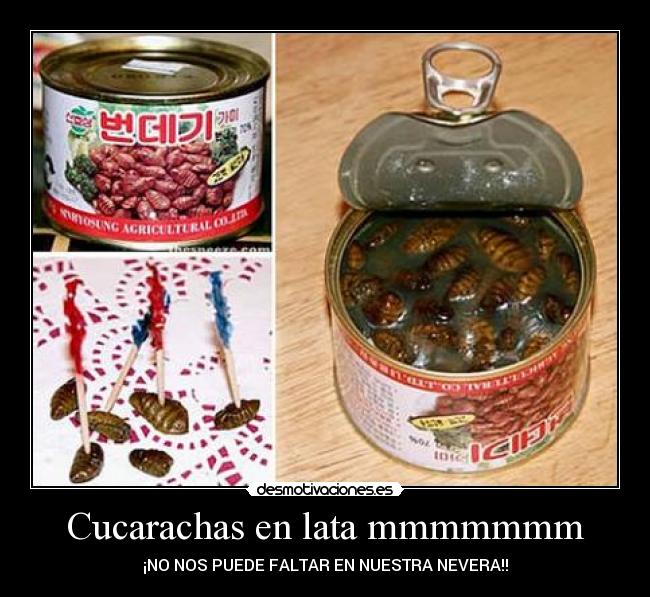 carteles cucarachas desmotivaciones