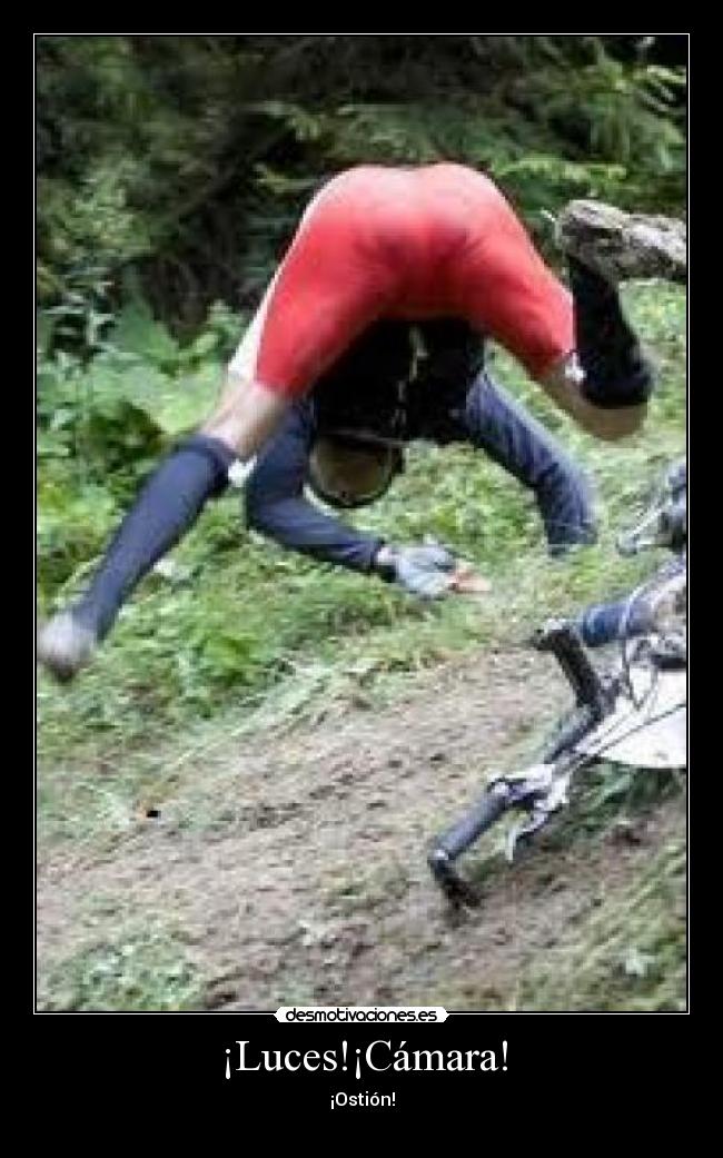 ¡Luces!¡Cámara! - ¡Ostión!
