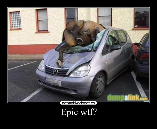 Epic wtf? - 