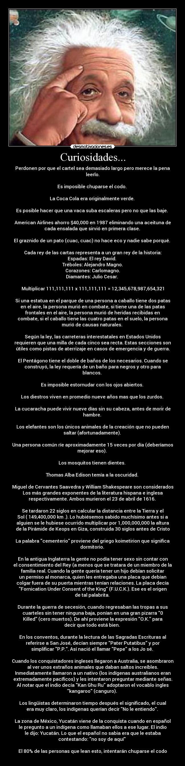 Curiosidades... - 