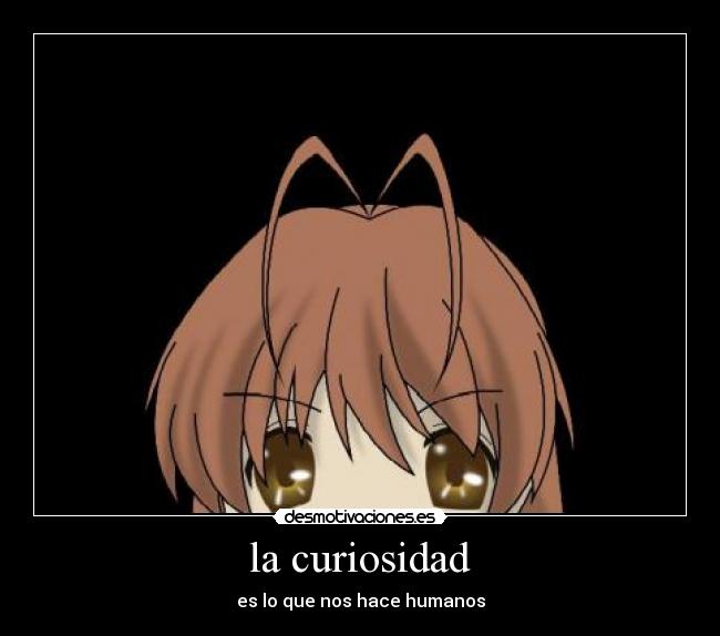 la curiosidad - 