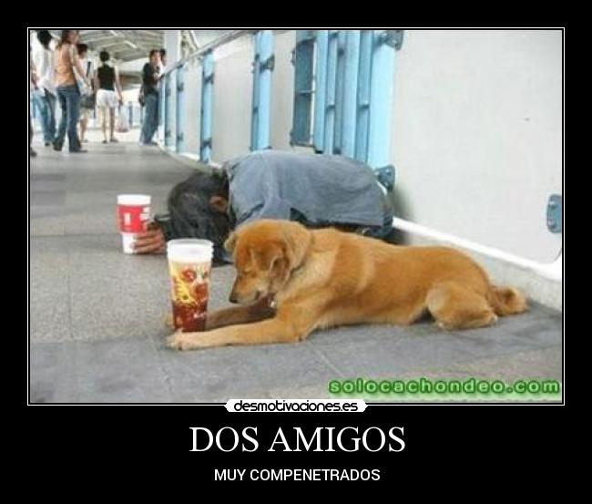 DOS AMIGOS - MUY COMPENETRADOS