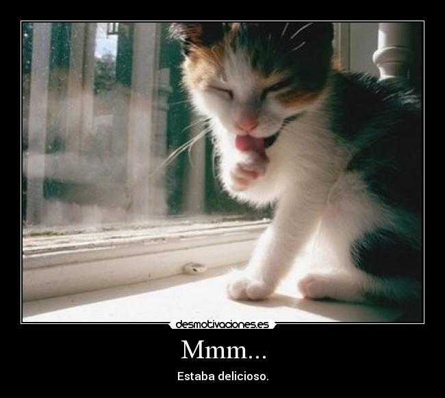 Mmm... - Estaba delicioso.