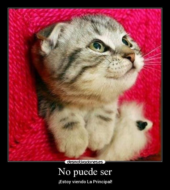 No puede ser - 