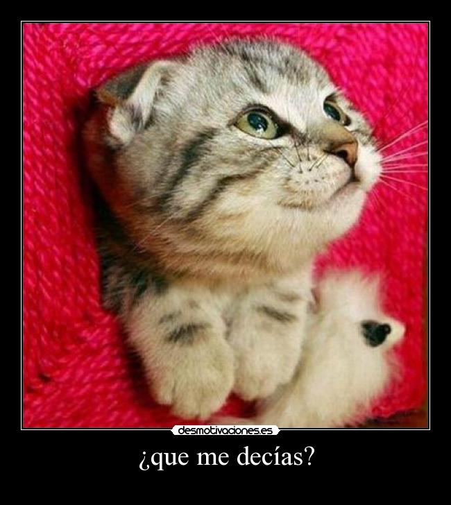 ¿que me decías? -