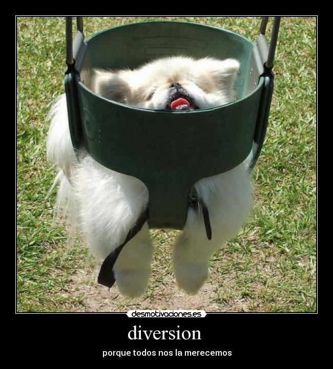 diversion -