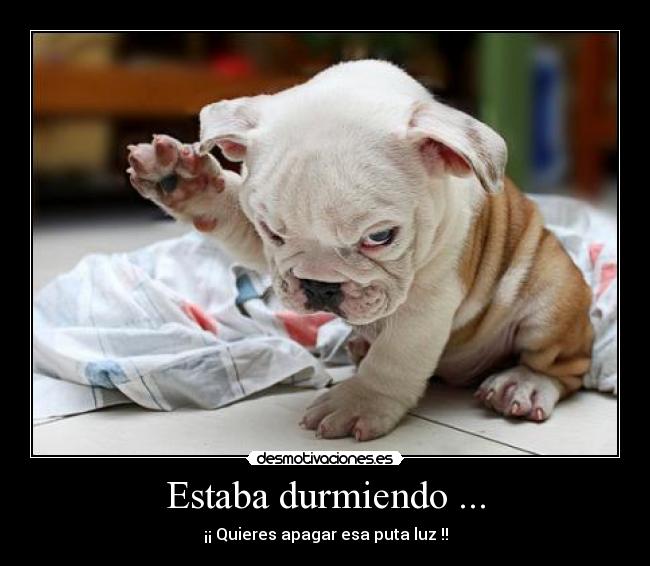 Estaba durmiendo ... -