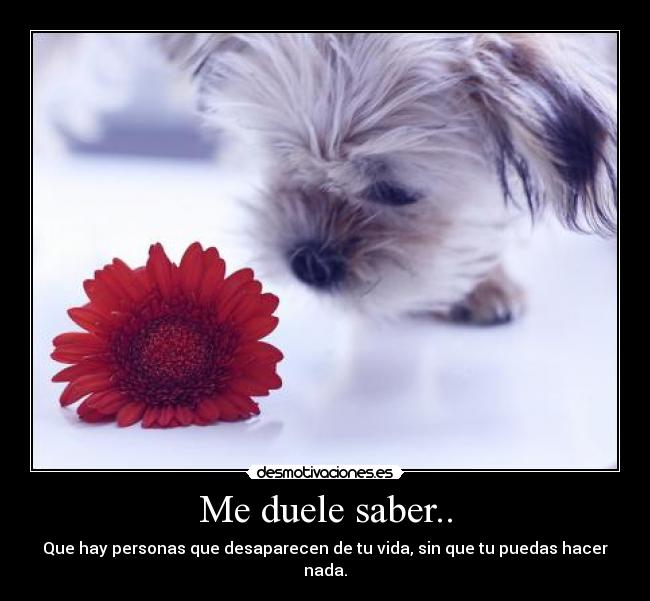 Me duele saber.. - Que hay personas que desaparecen de tu vida, sin que tu puedas hacer nada.