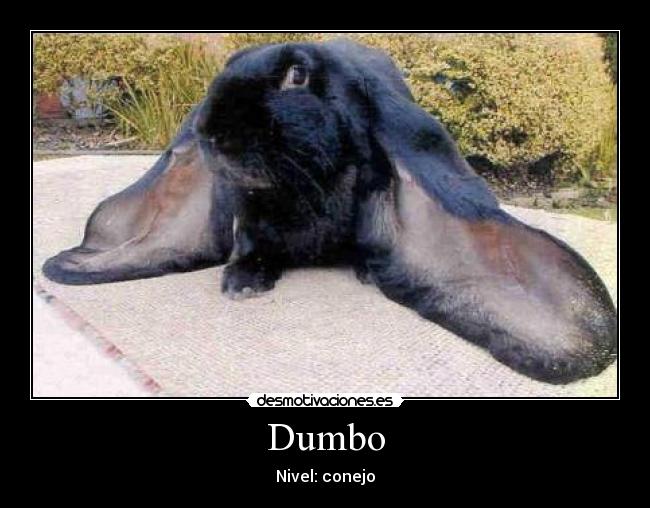 Dumbo -